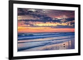 Gulls on the Shore II-Alan Hausenflock-Framed Photographic Print