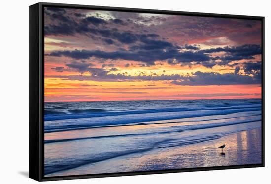 Gulls on the Shore II-Alan Hausenflock-Framed Stretched Canvas