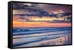 Gulls on the Shore II-Alan Hausenflock-Framed Stretched Canvas