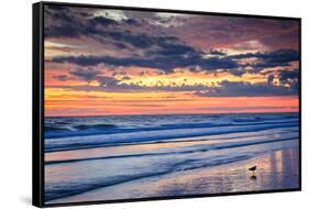 Gulls on the Shore II-Alan Hausenflock-Framed Stretched Canvas