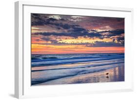 Gulls on the Shore II-Alan Hausenflock-Framed Photo