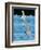 Gulls-Marie Sansone-Framed Giclee Print