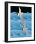 Gulls-Marie Sansone-Framed Giclee Print