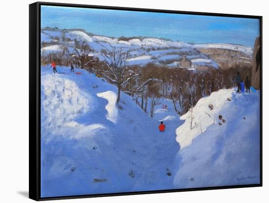 Gully, Black Rocks, Derbyshire, 2009-Andrew Macara-Framed Stretched Canvas