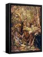 Gully in the Tasmanian Jungle-Charles E Gordon Frazer-Framed Stretched Canvas