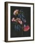 Gum Nuts II-Melissa Wang-Framed Art Print