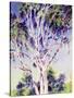 Gum Tree, Australia-Robert Tyndall-Stretched Canvas