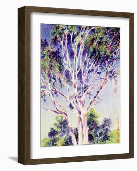 Gum Tree, Australia-Robert Tyndall-Framed Giclee Print