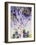 Gum Tree, Australia-Robert Tyndall-Framed Giclee Print