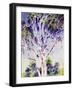 Gum Tree, Australia-Robert Tyndall-Framed Giclee Print