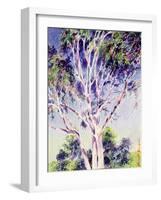 Gum Tree, Australia-Robert Tyndall-Framed Giclee Print