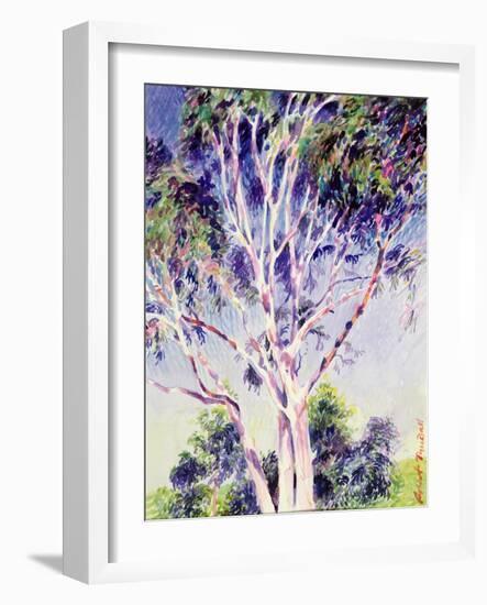 Gum Tree, Australia-Robert Tyndall-Framed Giclee Print