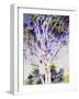 Gum Tree, Australia-Robert Tyndall-Framed Giclee Print