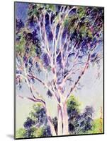 Gum Tree, Australia-Robert Tyndall-Mounted Giclee Print