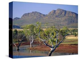 Gum Trees in a Billabong at the South West Escarpment of Wilpena Pound, South Australia, Australia-Robert Francis-Stretched Canvas