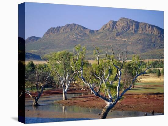 Gum Trees in a Billabong at the South West Escarpment of Wilpena Pound, South Australia, Australia-Robert Francis-Stretched Canvas