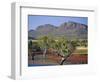 Gum Trees in a Billabong at the South West Escarpment of Wilpena Pound, South Australia, Australia-Robert Francis-Framed Photographic Print