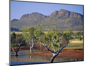 Gum Trees in a Billabong at the South West Escarpment of Wilpena Pound, South Australia, Australia-Robert Francis-Mounted Photographic Print