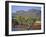 Gum Trees in a Billabong at the South West Escarpment of Wilpena Pound, South Australia, Australia-Robert Francis-Framed Photographic Print