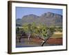 Gum Trees in a Billabong at the South West Escarpment of Wilpena Pound, South Australia, Australia-Robert Francis-Framed Photographic Print