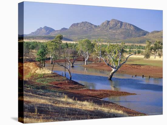 Gum Trees in a Billabong, Flinders Range National Park, South Australia, Australia-Robert Francis-Stretched Canvas