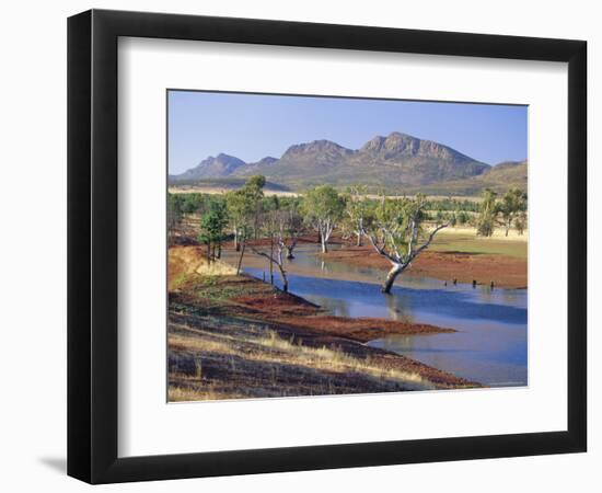 Gum Trees in a Billabong, Flinders Range National Park, South Australia, Australia-Robert Francis-Framed Photographic Print