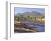 Gum Trees in a Billabong, Flinders Range National Park, South Australia, Australia-Robert Francis-Framed Photographic Print