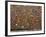 Gum Wall at Pike's Place Market in Seattle, Washington, Usa-Michele Westmorland-Framed Photographic Print