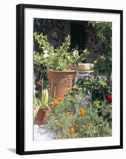 Gumusluk, Near Bodrum, Anatolia, Turkey-R H Productions-Framed Photographic Print