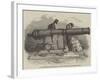 Gun and Mortar from Bomarsund, at the Crystal Palace-null-Framed Giclee Print