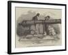 Gun and Mortar from Bomarsund, at the Crystal Palace-null-Framed Giclee Print