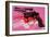 Gun, c. 1981-82 (black, white, red on pink)-Andy Warhol-Framed Art Print