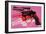 Gun, c. 1981-82 (black, white, red on pink)-Andy Warhol-Framed Art Print