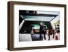 Gun dogs in the back of 4x4 on a shoot in Wiltshire, England-John Alexander-Framed Photographic Print