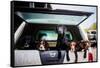 Gun dogs in the back of 4x4 on a shoot in Wiltshire, England-John Alexander-Framed Stretched Canvas