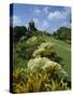 Gun Hill Signal Station, Barbados, West Indies, Caribbean, Central America-Lightfoot Jeremy-Stretched Canvas