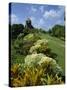 Gun Hill Signal Station, Barbados, West Indies, Caribbean, Central America-Lightfoot Jeremy-Stretched Canvas