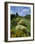 Gun Hill Signal Station, Barbados, West Indies, Caribbean, Central America-Lightfoot Jeremy-Framed Photographic Print