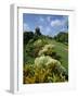 Gun Hill Signal Station, Barbados, West Indies, Caribbean, Central America-Lightfoot Jeremy-Framed Photographic Print