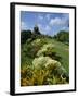 Gun Hill Signal Station, Barbados, West Indies, Caribbean, Central America-Lightfoot Jeremy-Framed Photographic Print