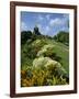 Gun Hill Signal Station, Barbados, West Indies, Caribbean, Central America-Lightfoot Jeremy-Framed Photographic Print