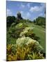 Gun Hill Signal Station, Barbados, West Indies, Caribbean, Central America-Lightfoot Jeremy-Mounted Photographic Print