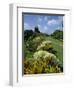 Gun Hill Signal Station, Barbados, West Indies, Caribbean, Central America-Lightfoot Jeremy-Framed Photographic Print