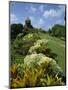 Gun Hill Signal Station, Barbados, West Indies, Caribbean, Central America-Lightfoot Jeremy-Mounted Photographic Print