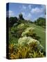 Gun Hill Signal Station, Barbados, West Indies, Caribbean, Central America-Lightfoot Jeremy-Stretched Canvas