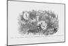Gunboat Bombardment on Confederates at Port Royal, South Carolina-Frank Leslie-Mounted Art Print