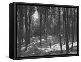 Gunder Hagg Training in the Woods Near Malmo-null-Framed Stretched Canvas