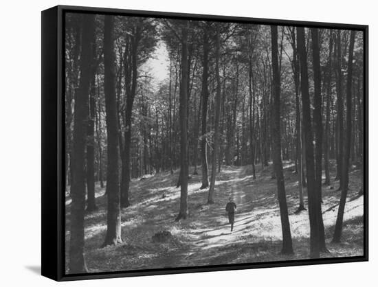 Gunder Hagg Training in the Woods Near Malmo-null-Framed Stretched Canvas