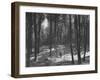Gunder Hagg Training in the Woods Near Malmo-null-Framed Premium Photographic Print