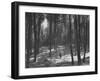 Gunder Hagg Training in the Woods Near Malmo-null-Framed Premium Photographic Print